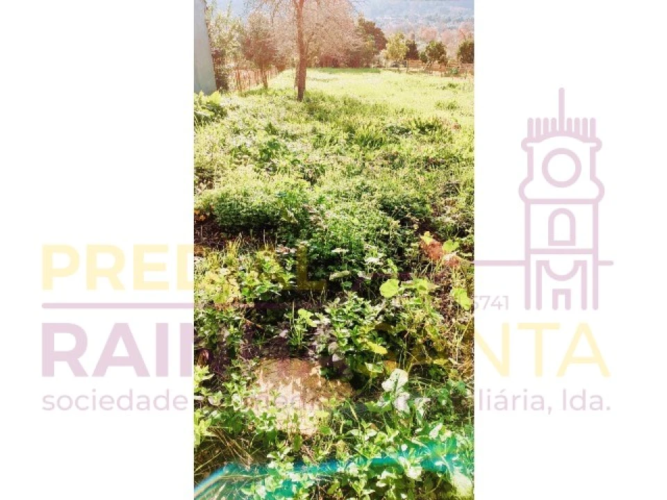 Moradia T2 para Venda em Semide e Rio Vide Foto 8