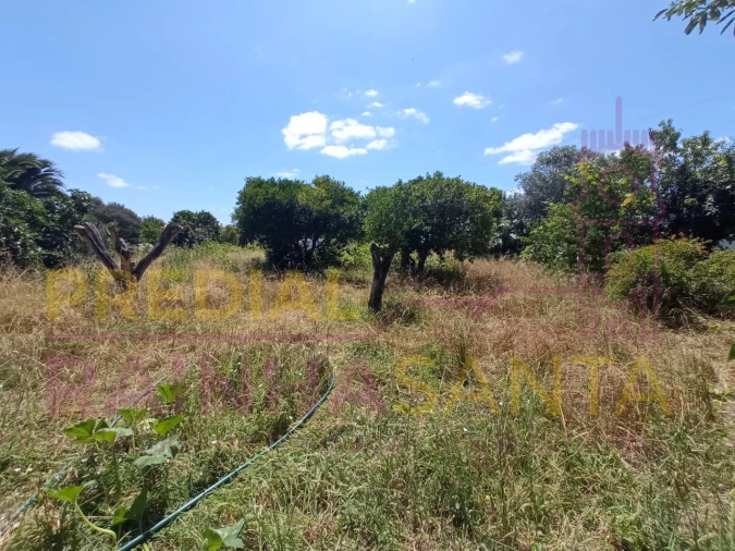 Moradia T2 para Venda em Santo Varão Foto 11