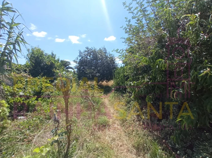 Moradia T2 para Venda em Santo Varão Foto 14