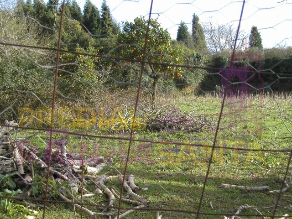 Quinta para Venda em Cernache Foto 4