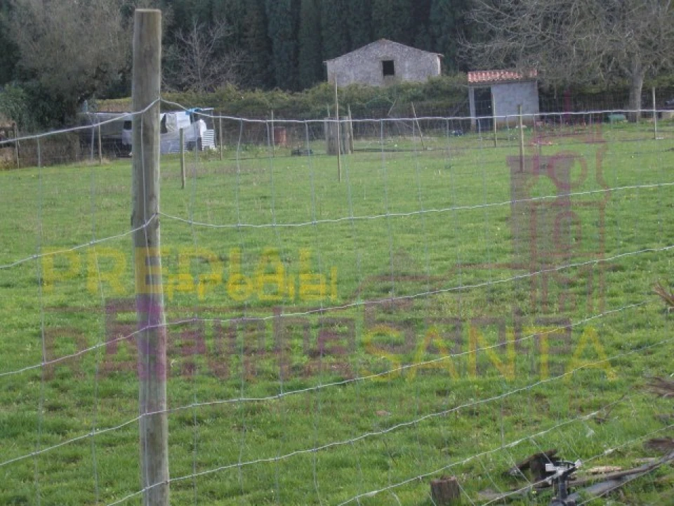Quinta para Venda em Cernache Foto 6