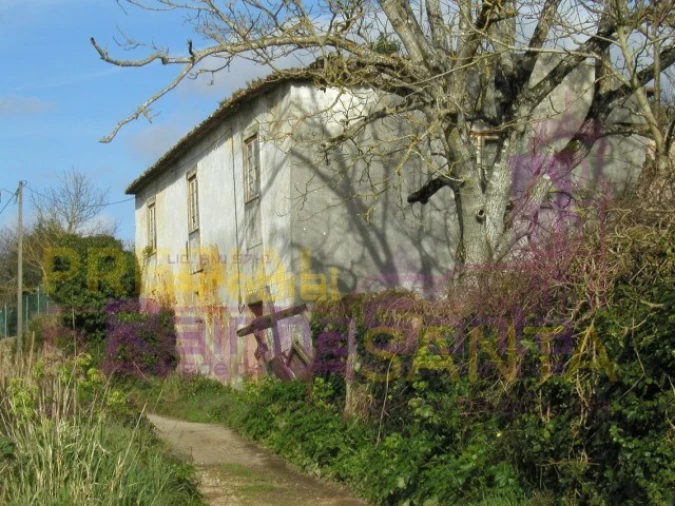 Quinta para Venda em Cernache Foto 2