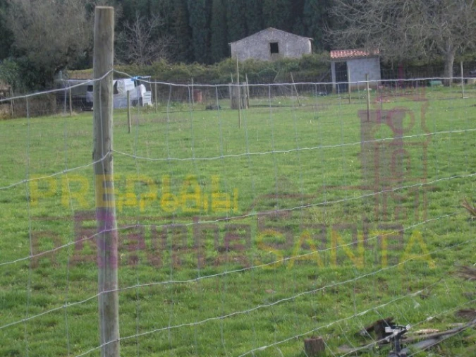 Quinta para Venda em Cernache Foto 6