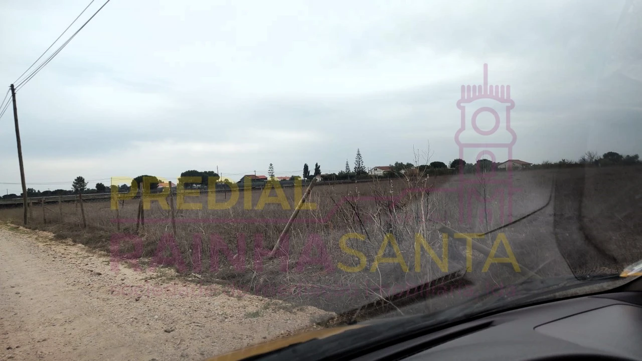 Terreno para Venda em Salvaterra de Magos e Foros de Salvaterra Foto 2