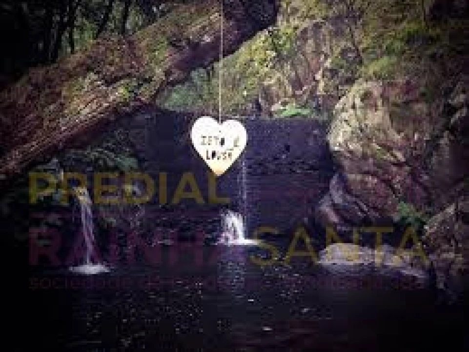 Terreno para Venda em Lousã e Vilarinho Foto 10