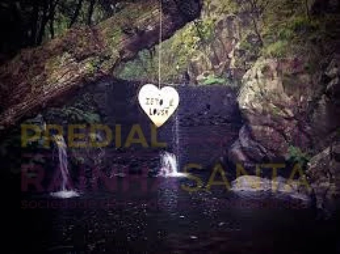 Terreno para Venda em Lousã e Vilarinho Foto 10