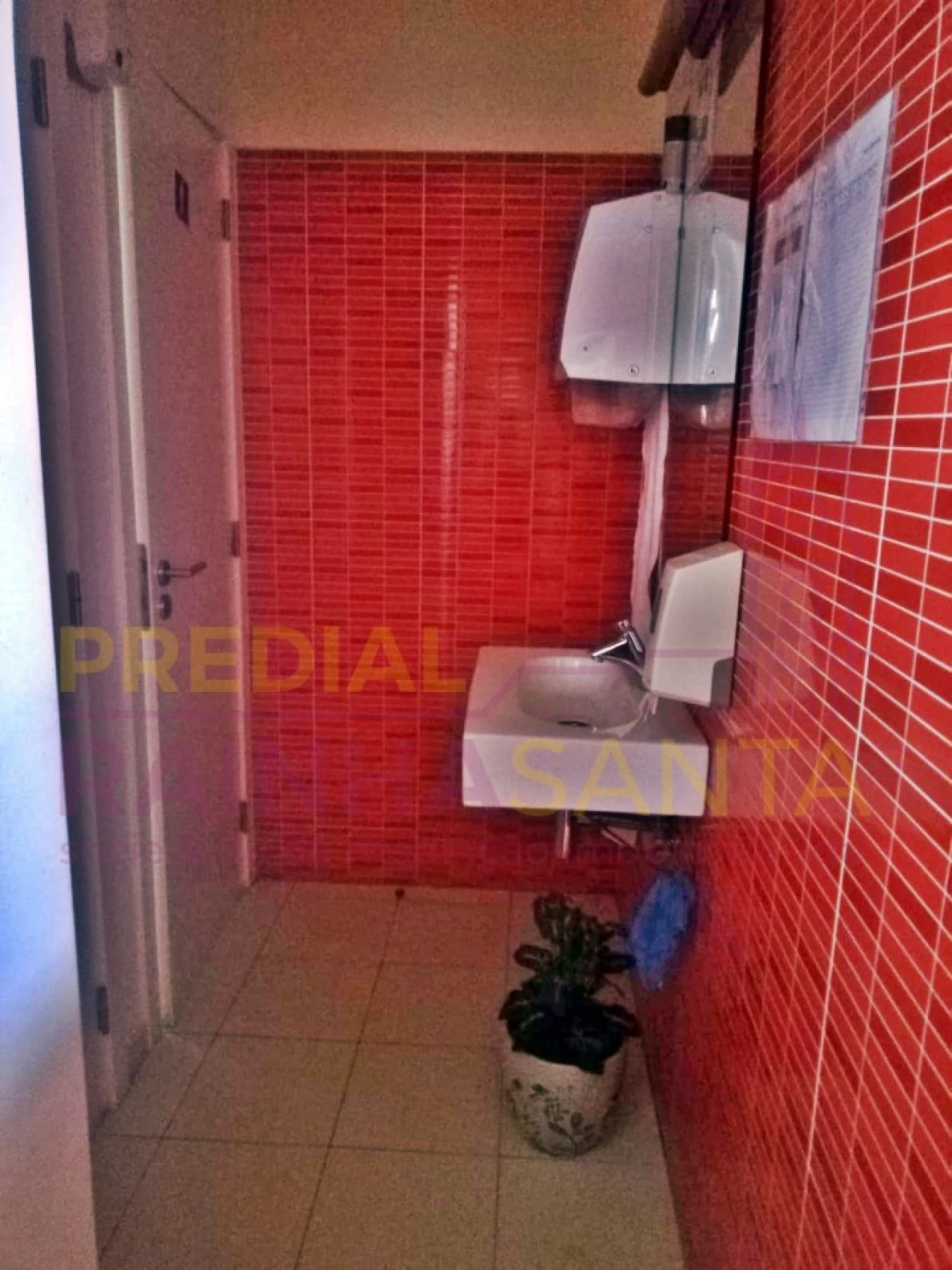 Loja para Venda em Sé Nova, Santa Cruz, Almedina e São Bartolomeu Foto 6