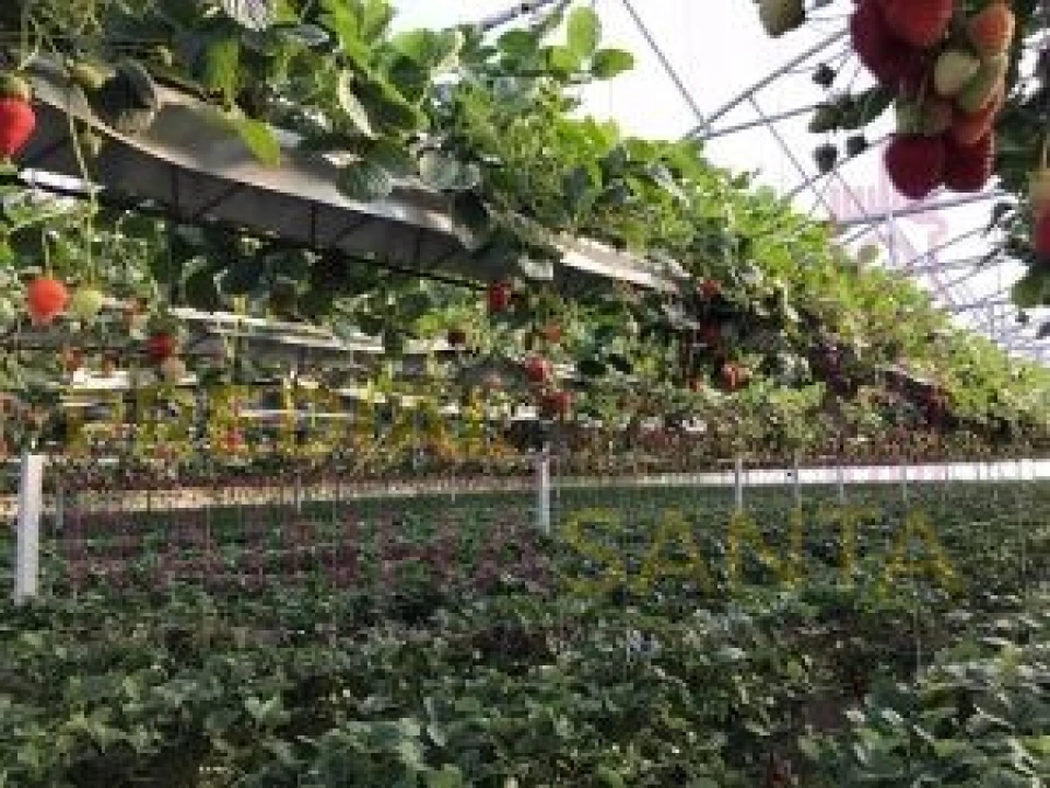 Terreno para Venda em Samuel Foto 9