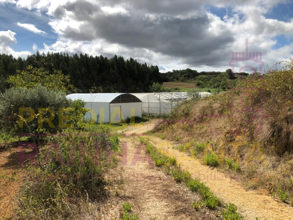 Terreno para Venda em Samuel Foto 28