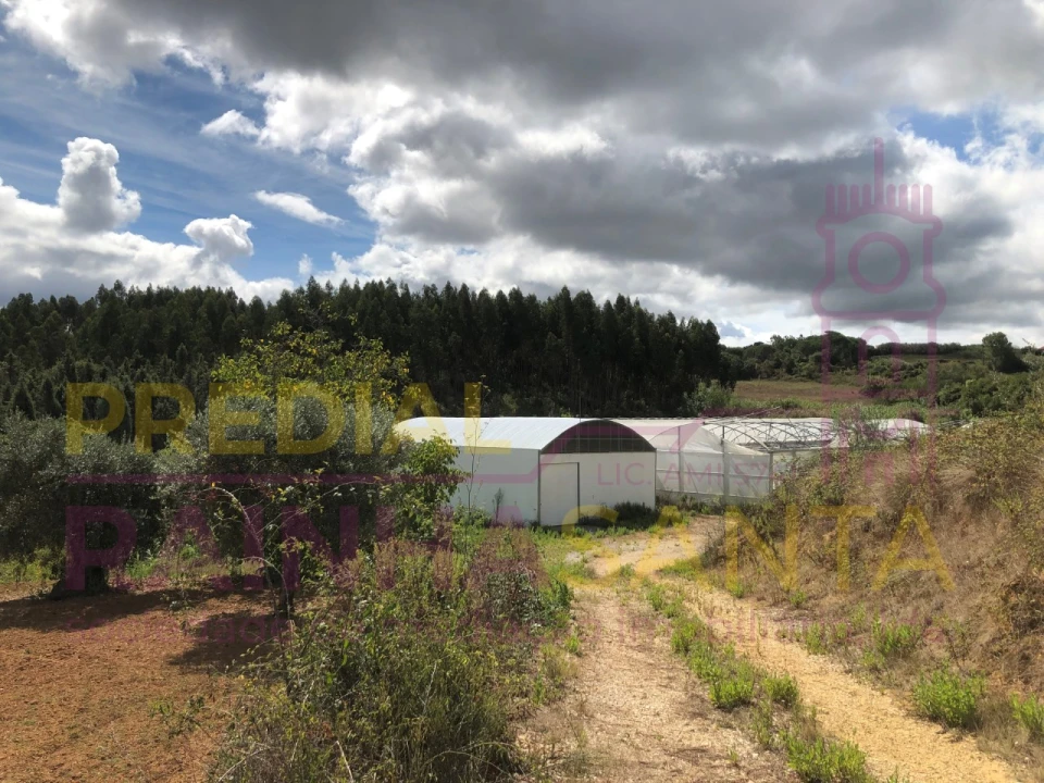 Terreno para Venda em Samuel Foto 1