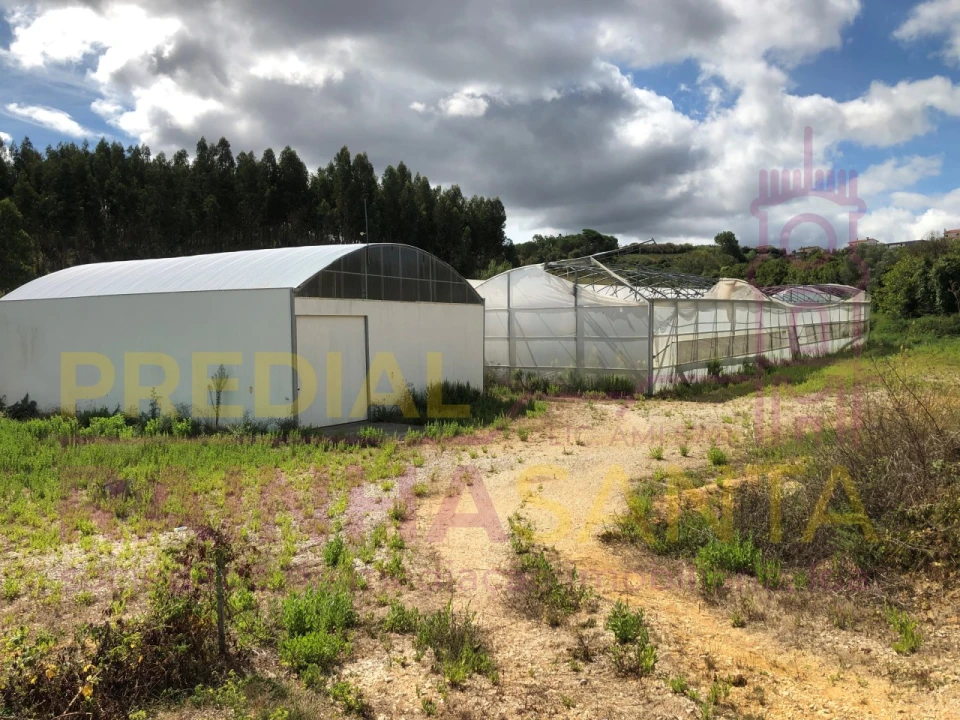 Terreno para Venda em Samuel Foto 2