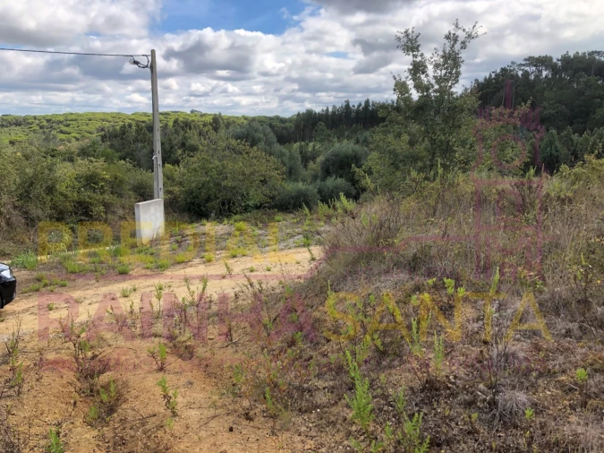 Terreno para Venda em Samuel Foto 26