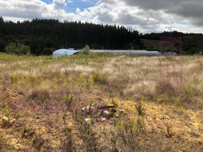 Terreno para Venda em Samuel Foto 27