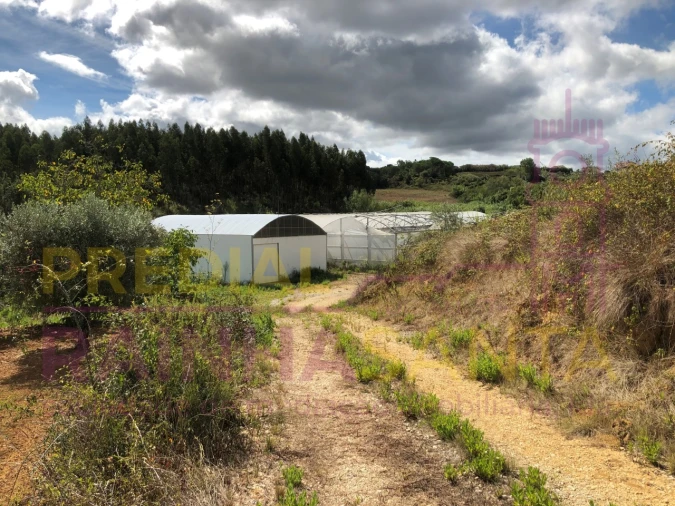 Terreno para Venda em Samuel Foto 28