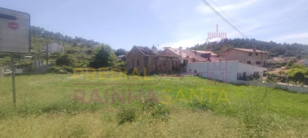 Terreno para Venda em Eiras e São Paulo de Frades