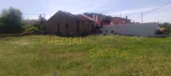 Terreno para Venda em Eiras e São Paulo de Frades