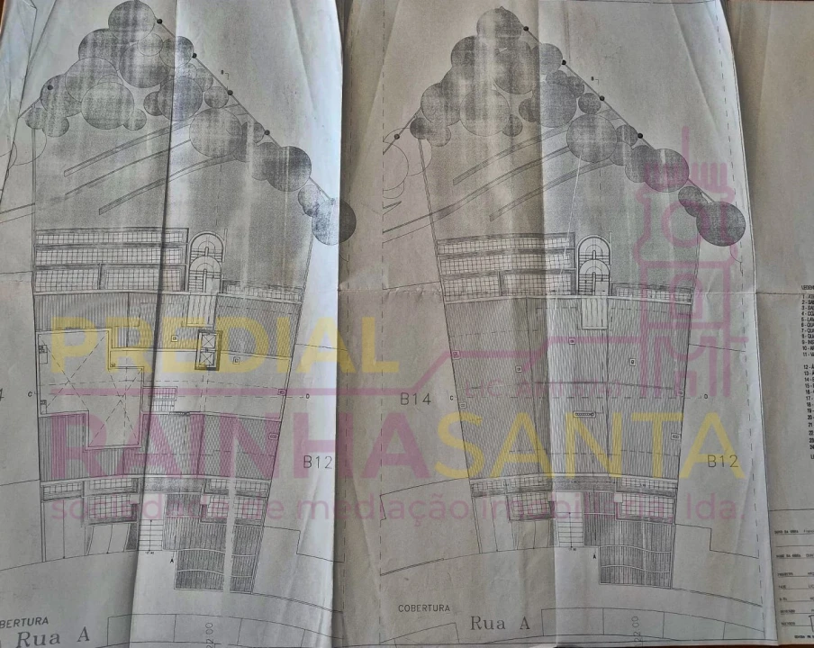 Terreno P/ Prédio para Venda em Santo Antonio dos Olivais Foto 6