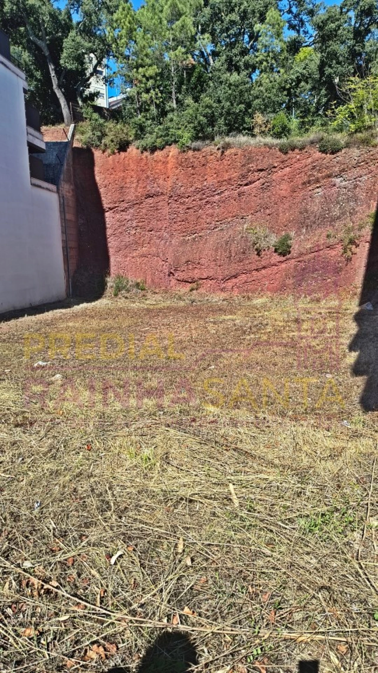 Terreno P/ Prédio para Venda em Santo Antonio dos Olivais Foto 3