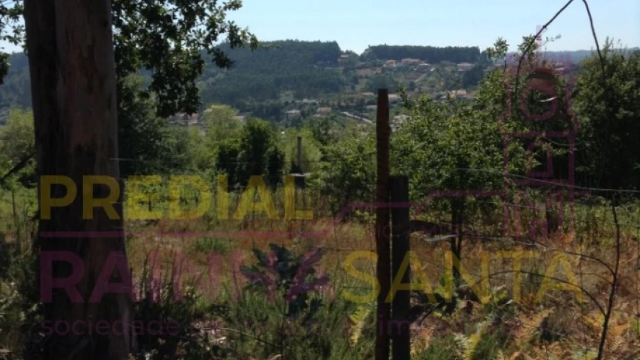 Terreno para Venda em Antuzede e Vil de Matos