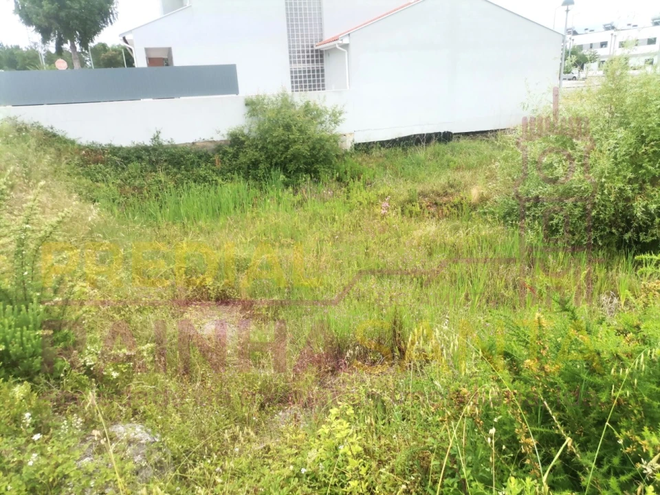 Terreno para Venda em Ançã Foto 3