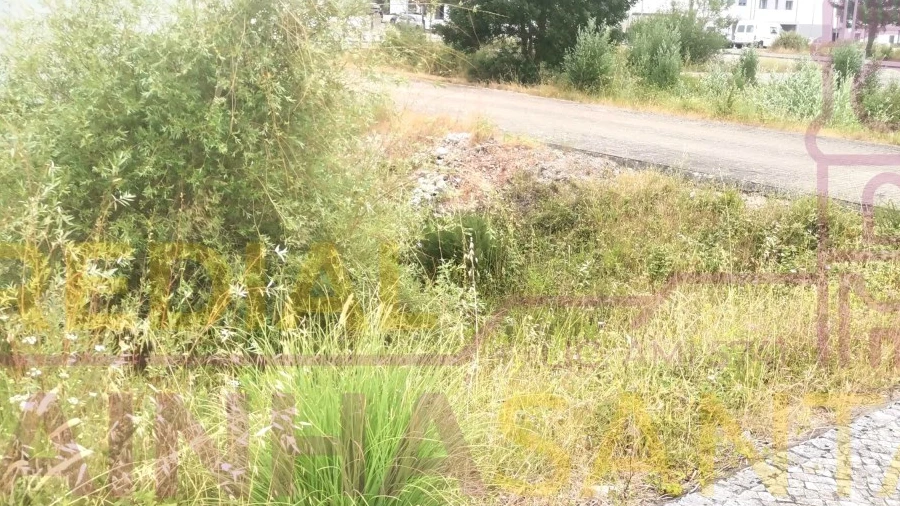 Terreno para Venda em Ançã