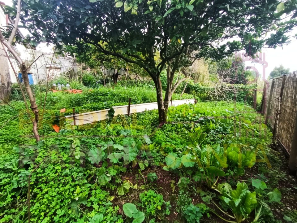 Moradia T1 para Venda em Tavarede Foto 10