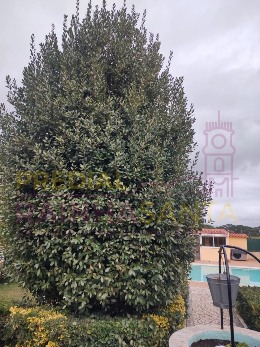 Quinta T4 para Venda em São João das Lampas e Terrugem Foto 12