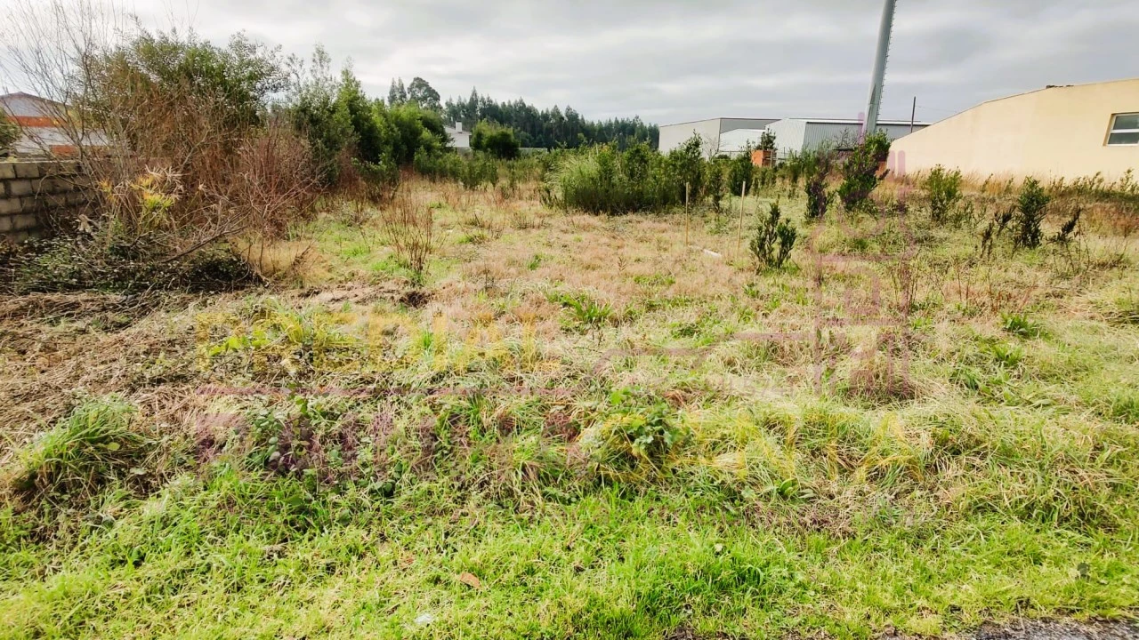 Terreno para Venda em Calvão Foto 1