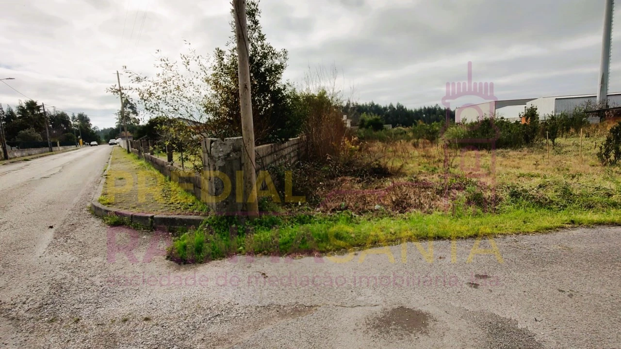 Terreno para Venda em Calvão Foto 5