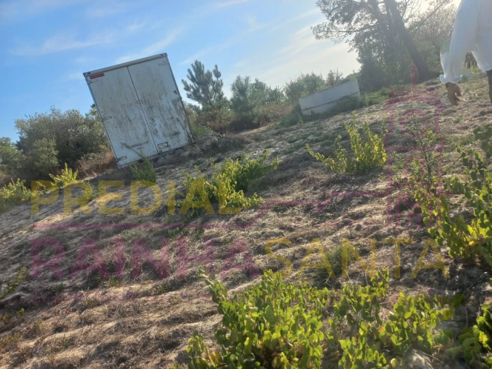 Terreno Agricola ou Rústico para Venda em Vila Chã de Ourique Foto 1