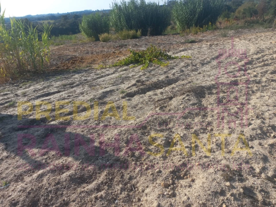 Terreno Agricola ou Rústico para Venda em Vila Chã de Ourique Foto 3
