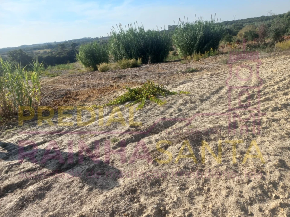 Terreno Agricola ou Rústico para Venda em Vila Chã de Ourique Foto 4