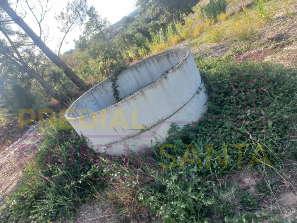 Terreno Agricola ou Rústico para Venda em Vila Chã de Ourique Foto 6