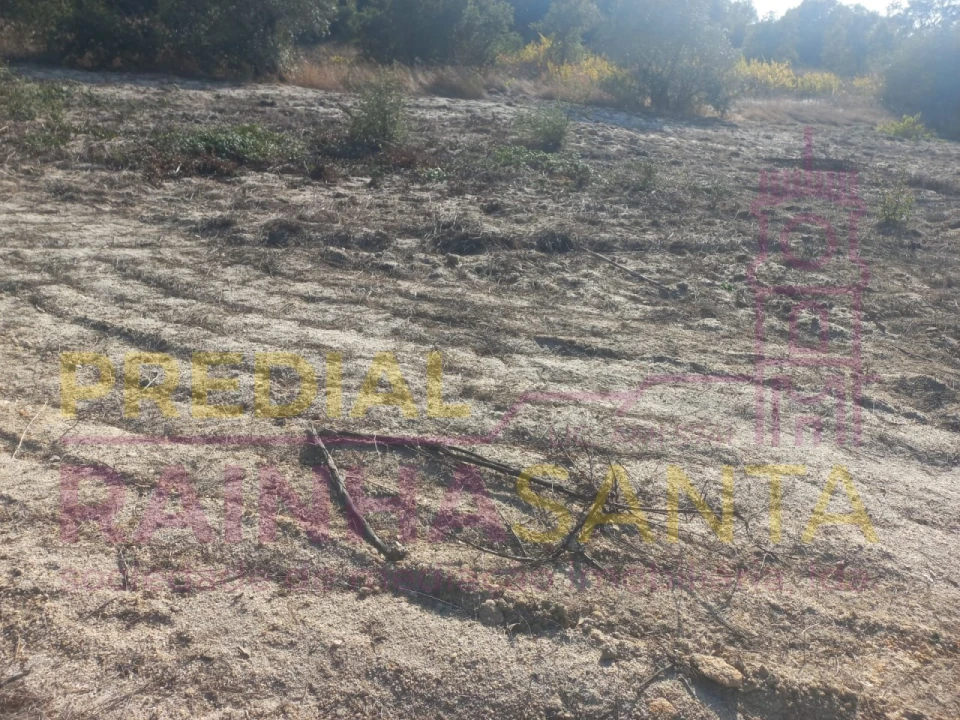 Terreno Agricola ou Rústico para Venda em Vila Chã de Ourique Foto 7