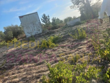 Terreno Agricola ou Rústico para Venda em Vila Chã de Ourique
