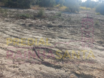 Terreno Agricola ou Rústico para Venda em Vila Chã de Ourique