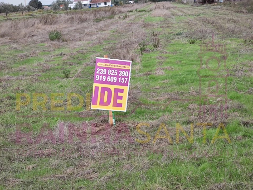 Terreno Agricola ou Rústico para Venda em Alpiarça Foto 1