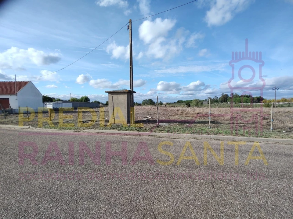 Terreno Agricola ou Rústico para Venda em Alpiarça Foto 6