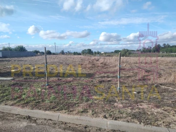 Terreno Agricola ou Rústico para Venda em Alpiarça