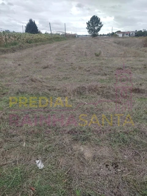 Terreno Agricola ou Rústico para Venda em Alpiarça