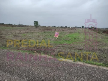 Terreno Agricola ou Rústico para Venda em Alpiarça