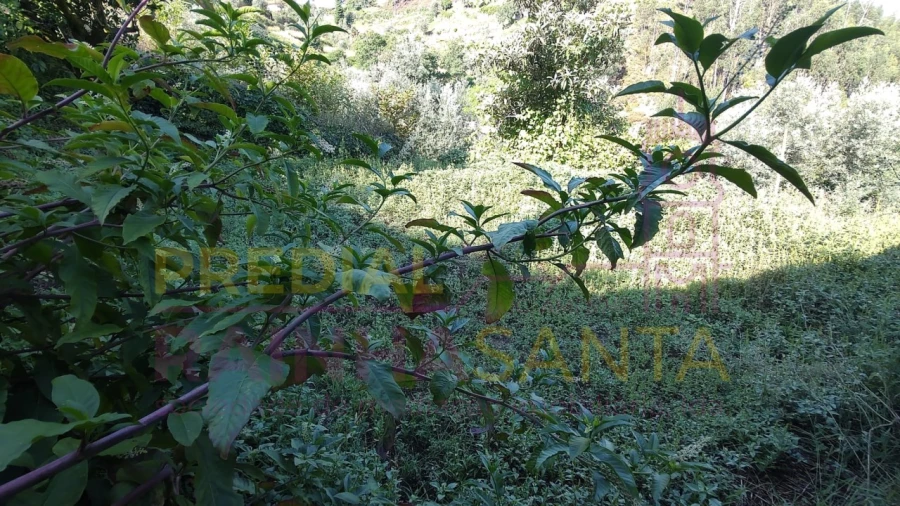 Moradia T4 para Venda em Arrifana Foto 21