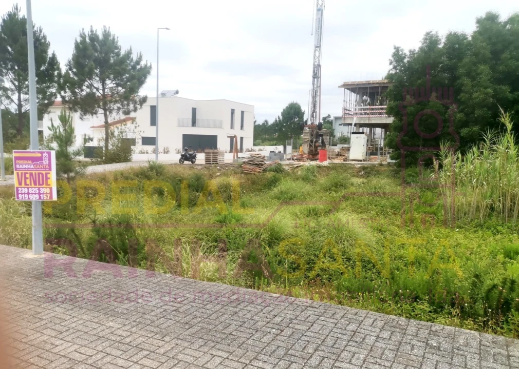 Terreno para Venda em Ançã Foto 2