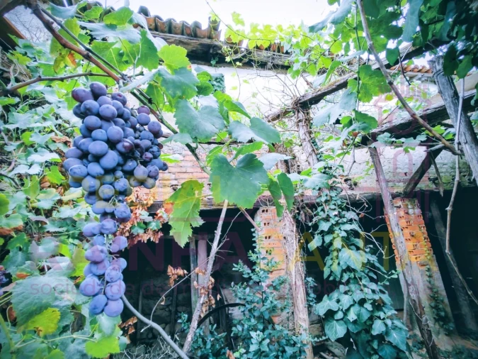 Moradia T3 para Venda em Pombeiro da Beira Foto 8