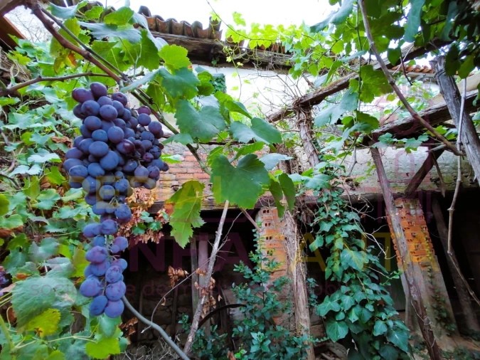 Moradia T3 para Venda em Pombeiro da Beira Foto 9