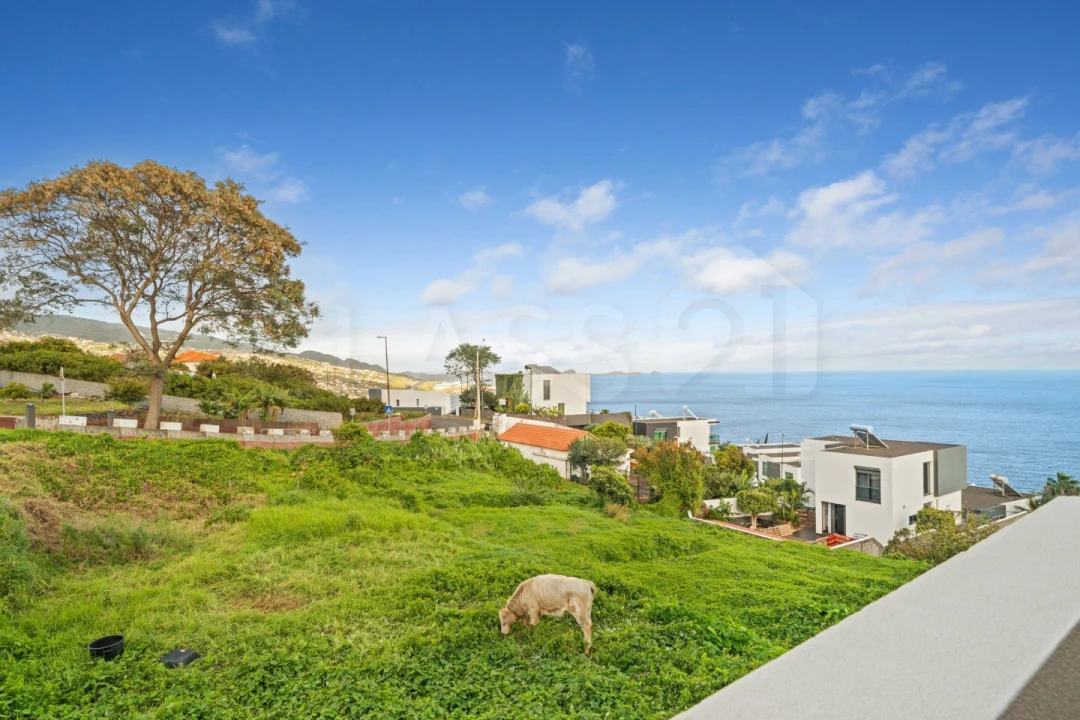 Moradia T2 para Venda em Gaula Foto 23