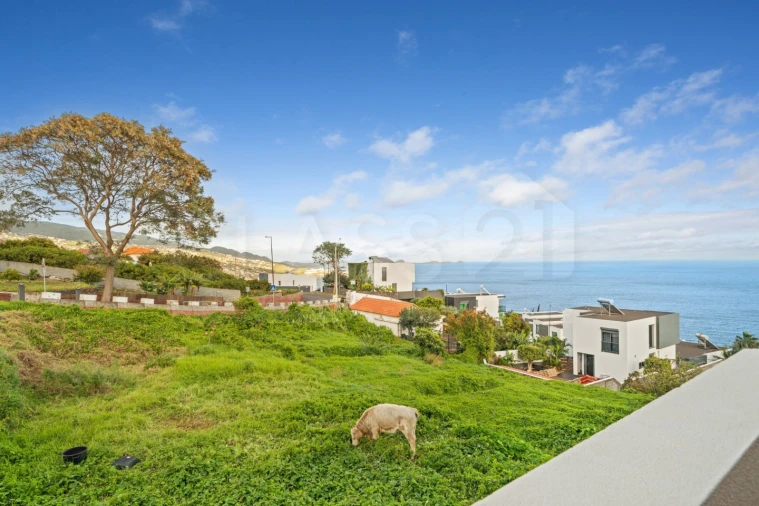 Moradia T2 para Venda em Gaula Foto 23