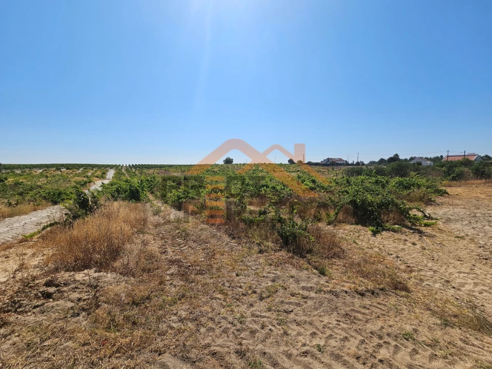Terreno para Venda em Poceirão e Marateca Foto 8