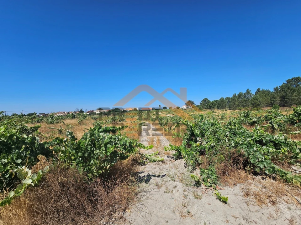 Terreno para Venda em Poceirão e Marateca Foto 14