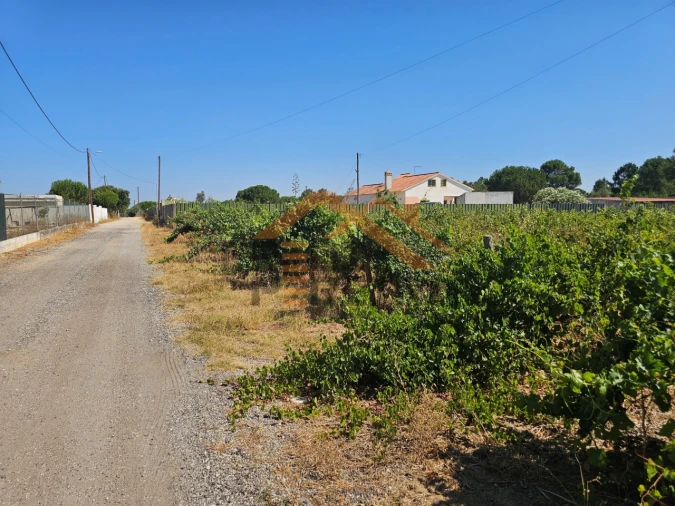 Terreno para Venda em Poceirão e Marateca Foto 4